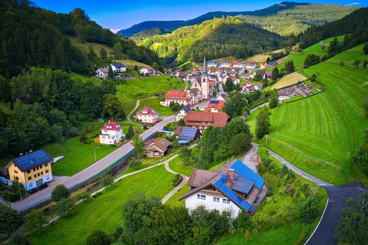 Steepleview House, Schwarzwaldblick Apartment - Spacious & Peaceful باد بيترستال غريسب المظهر الخارجي الصورة